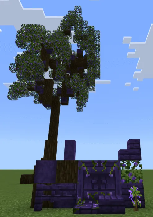 Jacaranda tree