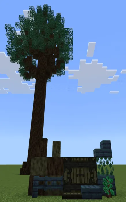 Larch