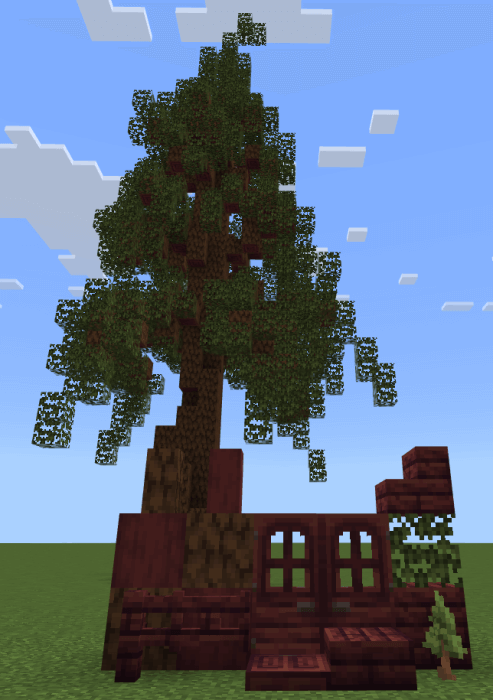 Redwood tree and blocks