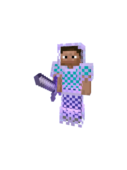 Steve With Sword and Chainmail Armor