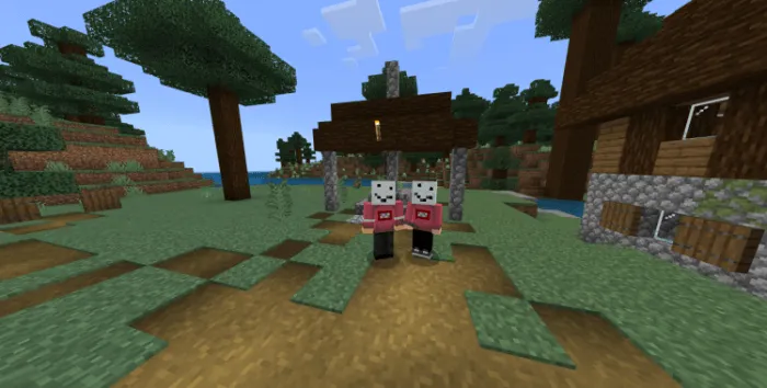 Snow Golem Hat