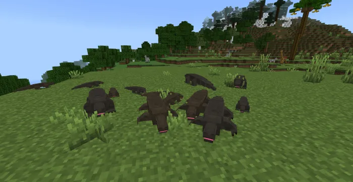 Komodo Dragons: Screenshot
