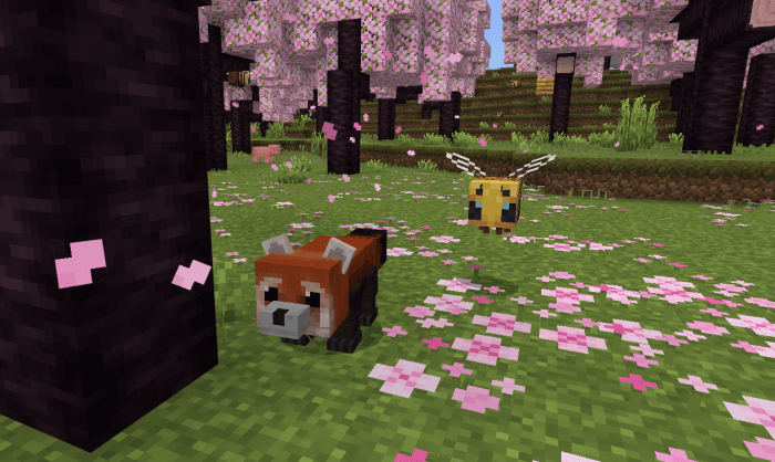 Red Panda: Screenshot