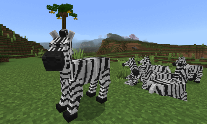 Zebras: Screenshot