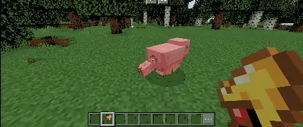 Mob Catcher usage