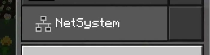 NetSystem in the player list