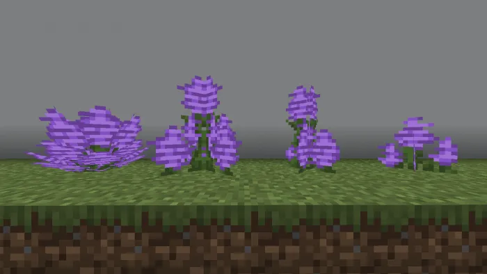 Blooming Grass