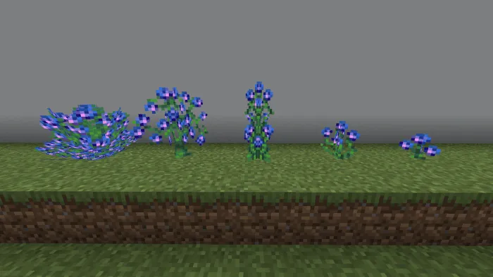 Blue Dragon Rose