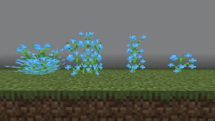 Blue Orchid