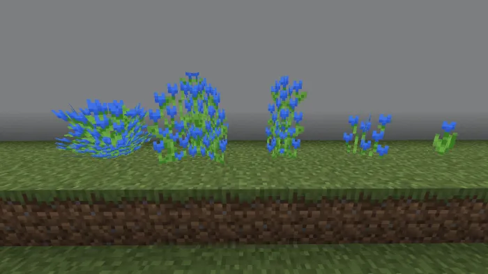 Blue Tulip
