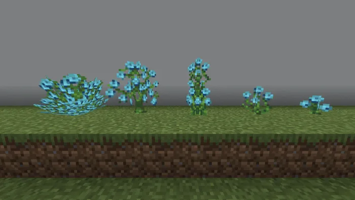 Cyan Roses