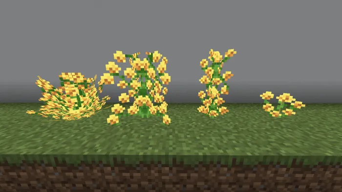 Dandelions
