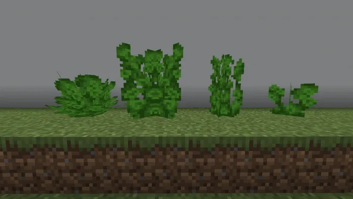 Deccan Grass