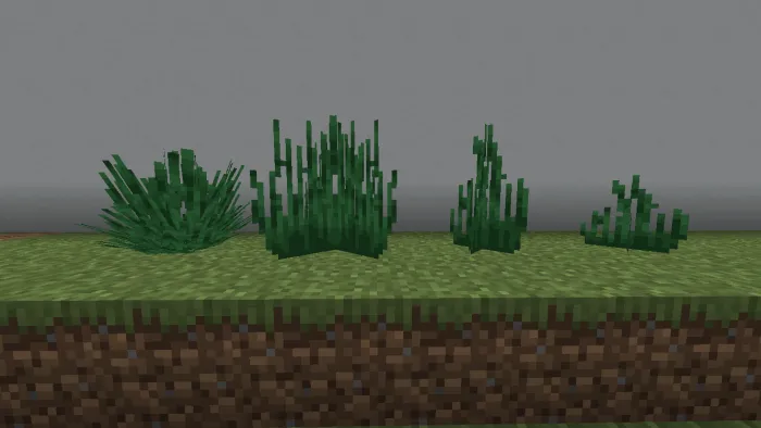 Elymus Grass