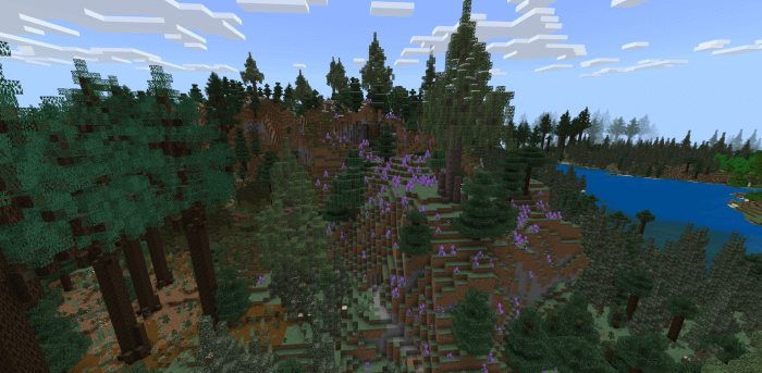 Extreme Hills biome