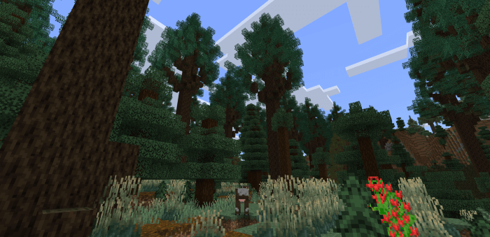 Mega Taiga biome (screenshot 2)