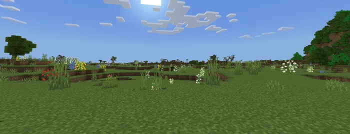 Plains with new flowers