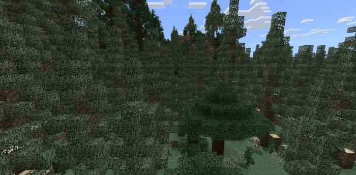 Regular Taiga biome