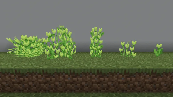 Green Tulip