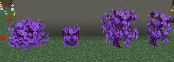 Grieving Lavender