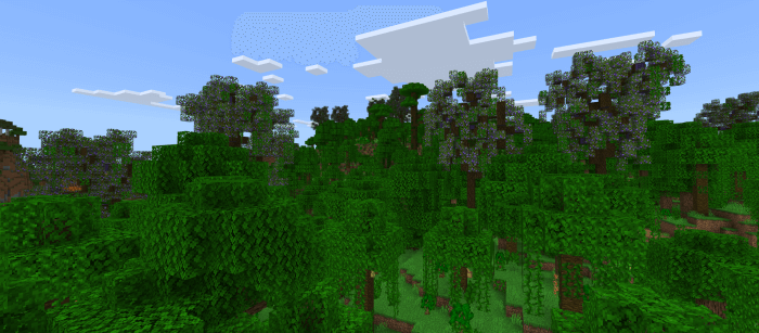 Jacaranda trees in the Jungle