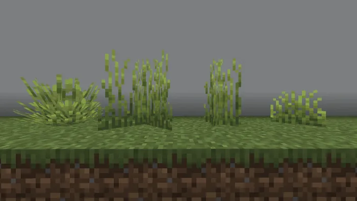 Lush Grass