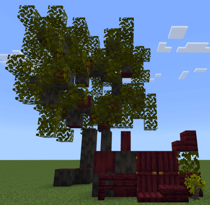 Mahogany tree and blocks