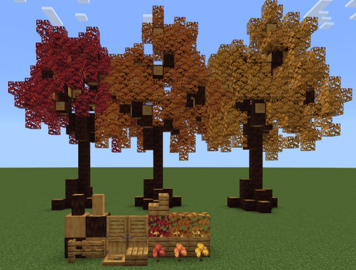 Maple trees and blocks