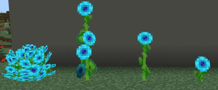 Moonflower