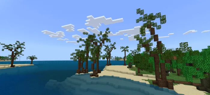 Palm trees on the beach