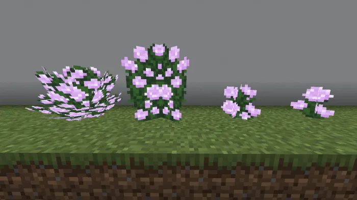 Peony Variants