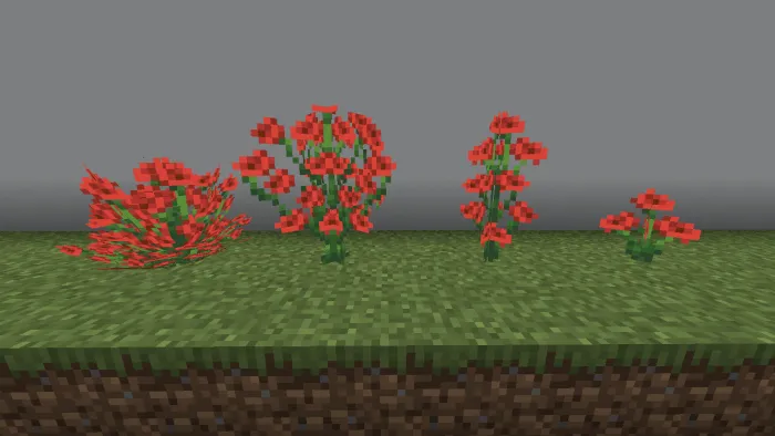 Poppy Variations