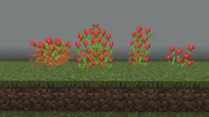 Red Tulip Variations