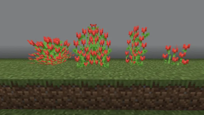 Red Tulip Variations