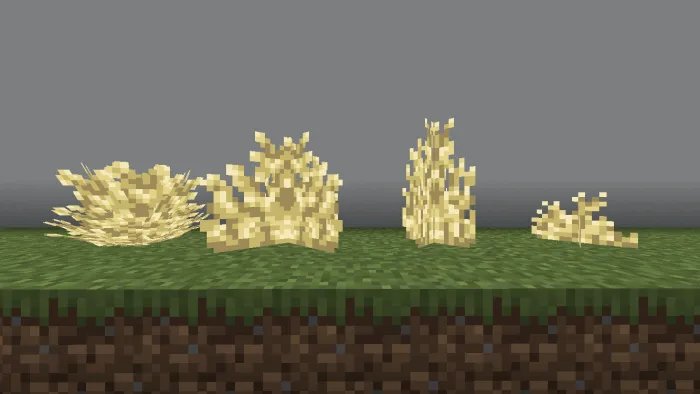 Scorched Grass