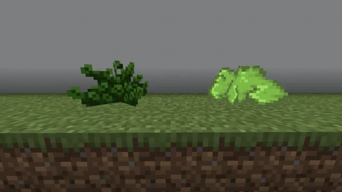 Shrub