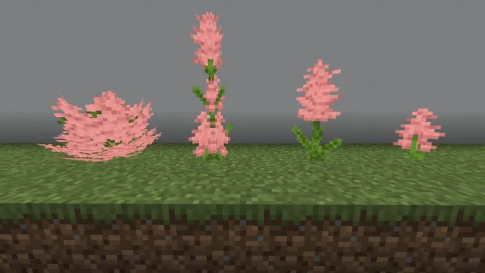 Snapdragon