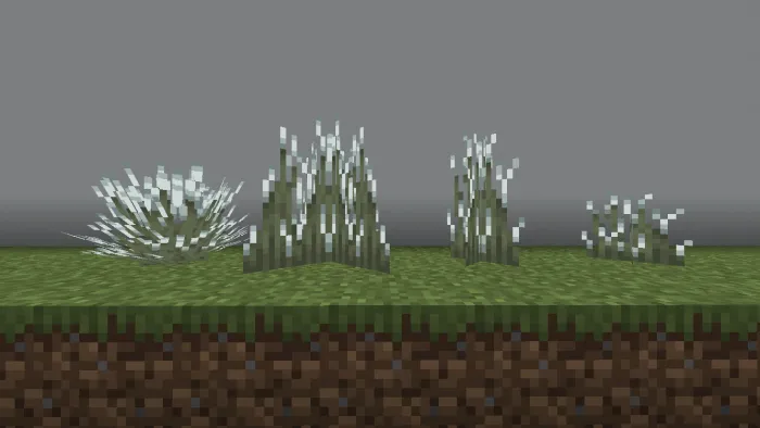 Snowy Grass