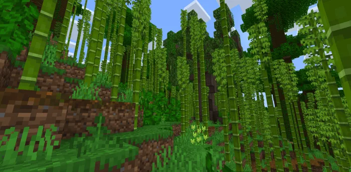 Bamboo Jungle