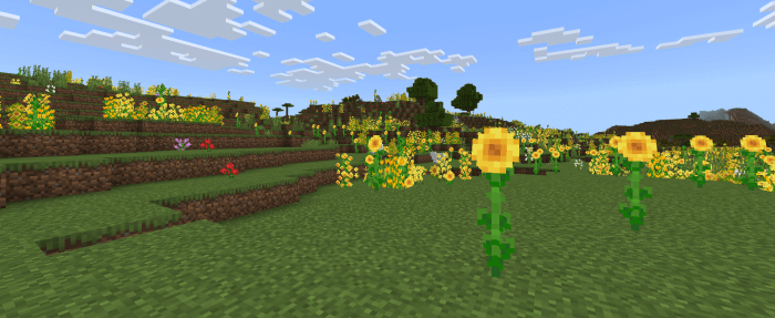 Enchanted Sunflower Plains biome