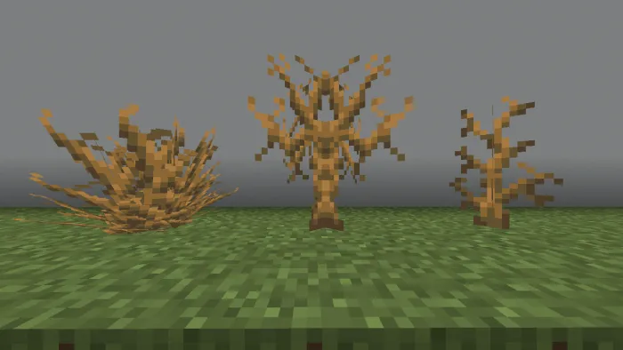Tall and Large Dead Bush