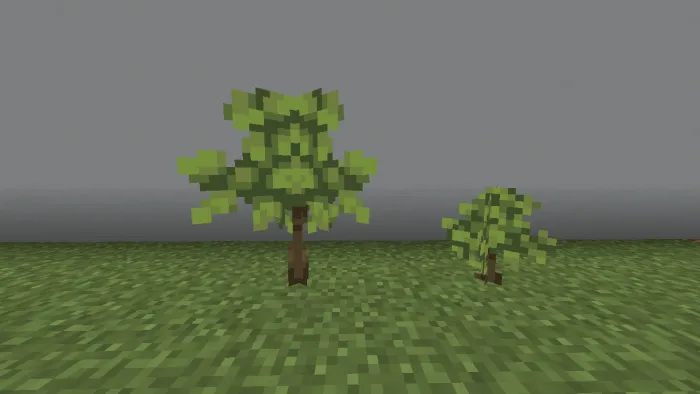 Tall and Small Azalea