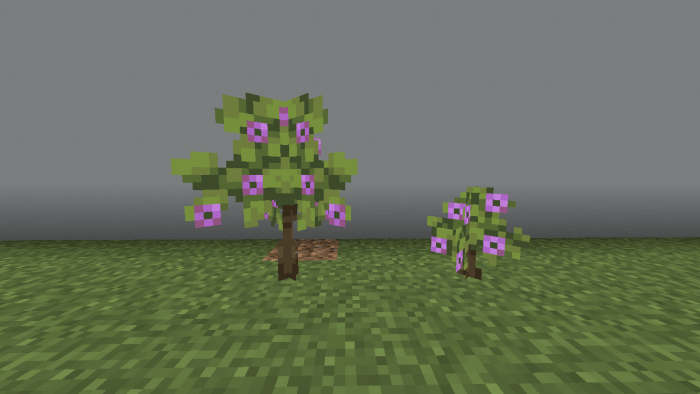 Tall and Small Flowering Azalea
