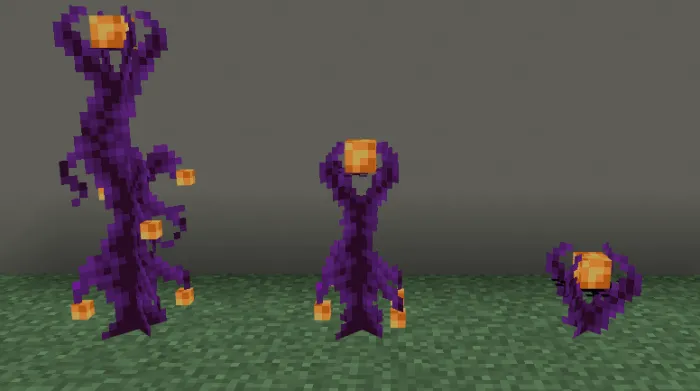 Violet Roots