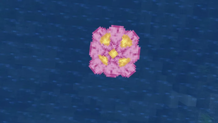 Water Lily (screenshot 1)