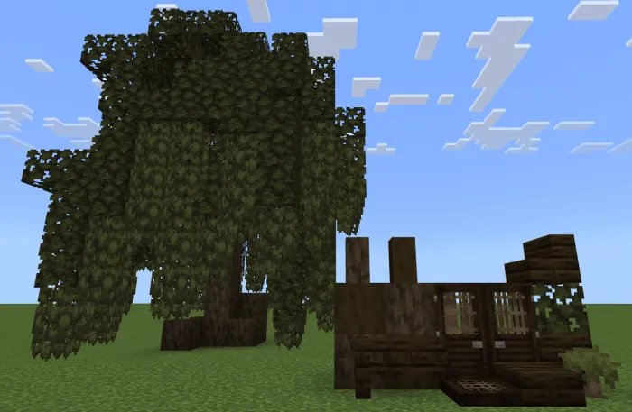 Willow tree