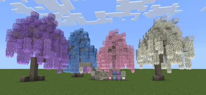 Wisteria Trees