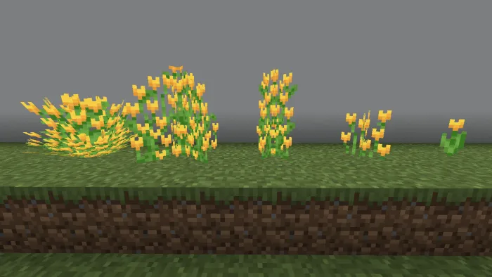 Yellow Tulip