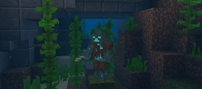 Drowned Rank