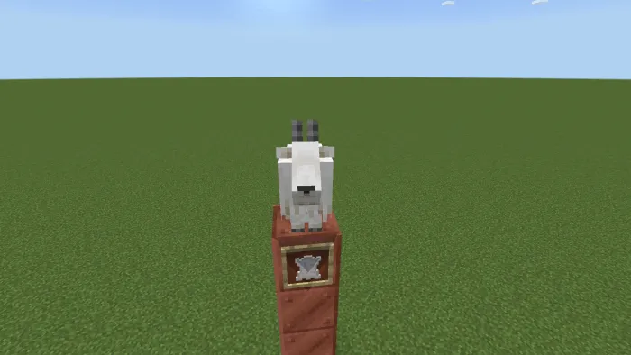 Goat and Goat Lether